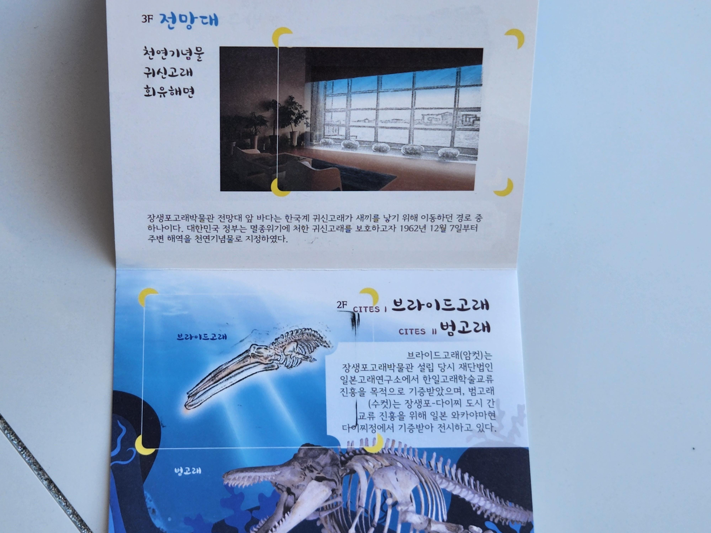 고래박물관 즐길거리