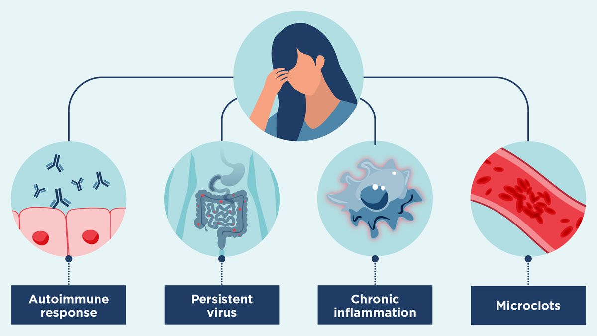 감염과 백신 접종으로 내장에 문제 발생:연구결과 How the COVID Vaccine Could Harm Your Gut&#44; Leading to Brain Fog and Autoimmune Disease