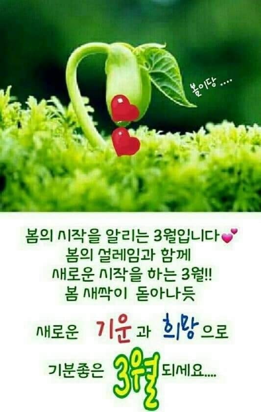  오늘의 좋은글 242번째 누구나가 원하는것이 있을 것입니다 그곳은 위원회를 거쳐 최종 목표는 내가 원하는것을 이루는 자아를 실현 하는것입니다