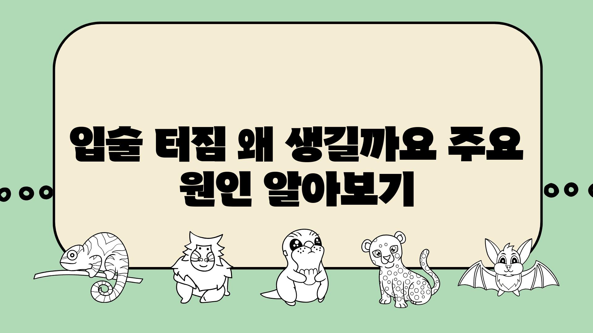 입술 터짐 왜 생길까요 주요 원인 알아보기