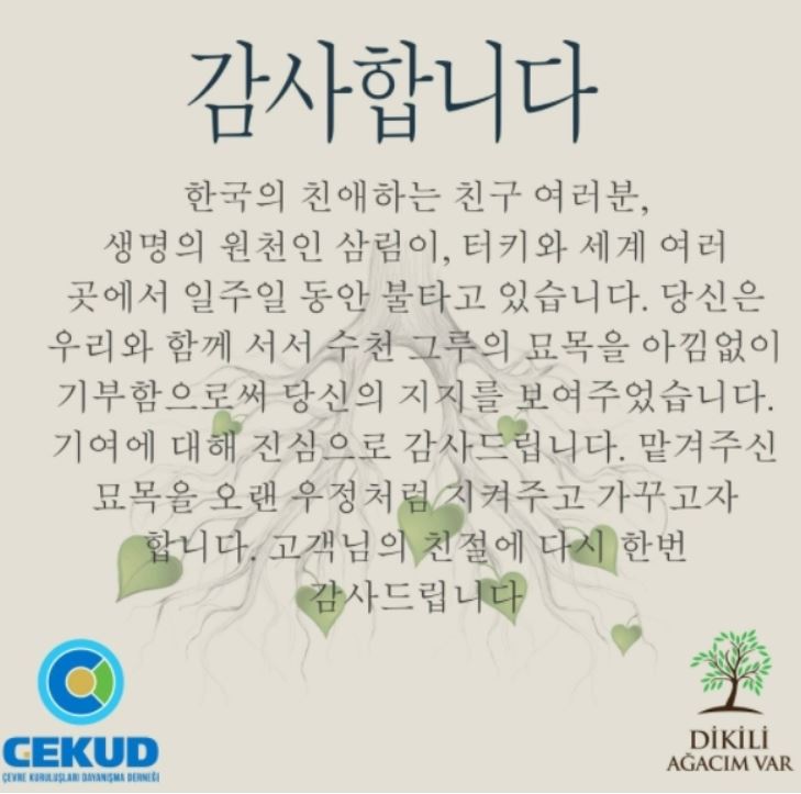  김연경 팬 묘목 터키 단체 감사합니다 한글 화답