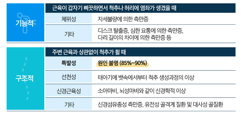 척추측만증 증상 및 분류