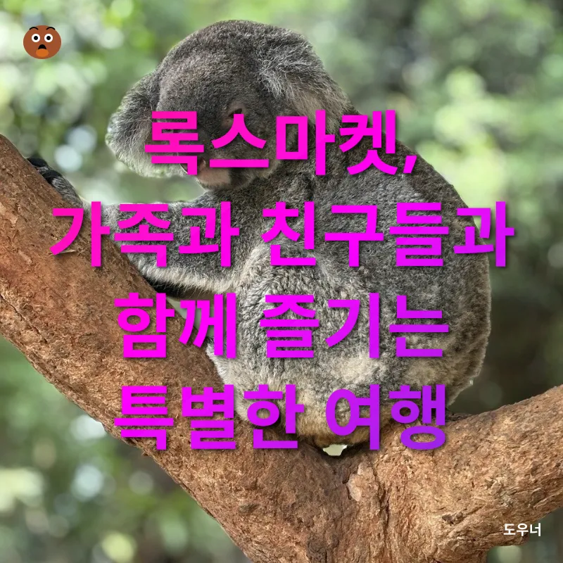 시드니 록스마켓_3
