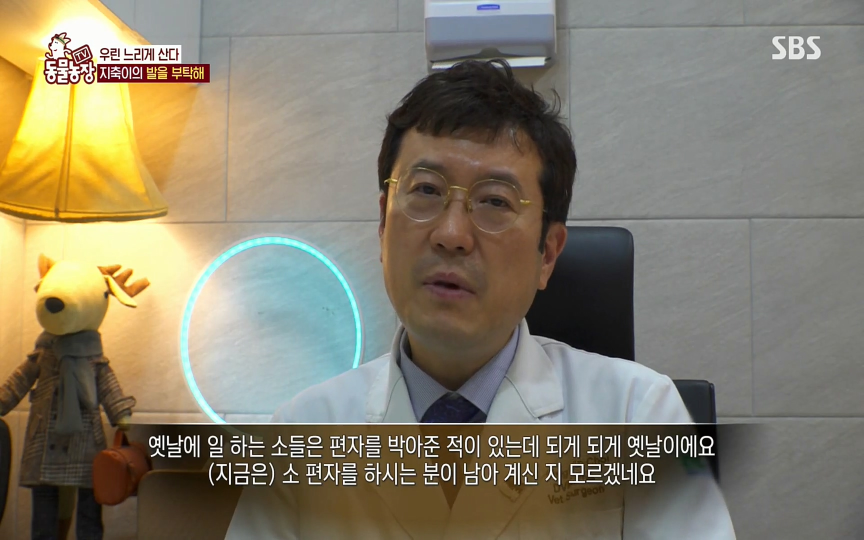 TV 동물농장.E1074.220619p.H264-F1RST.mp4_20220619_181818.952.jpg