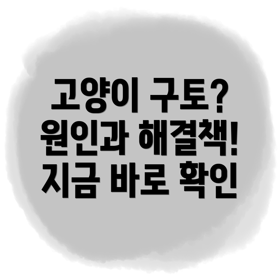 고양이 구토