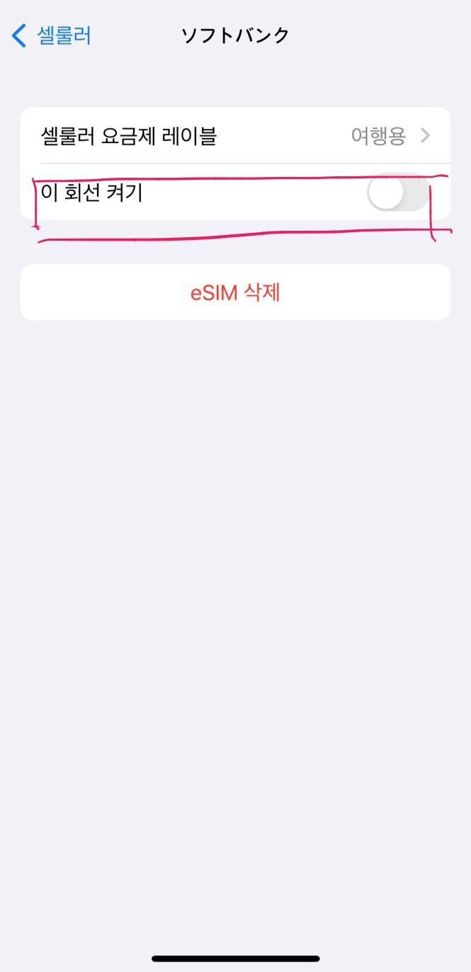 e-sim 설명 사진
