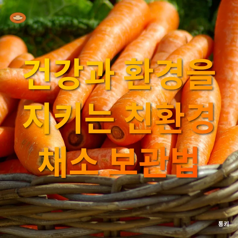 채소 신선도 유지_2