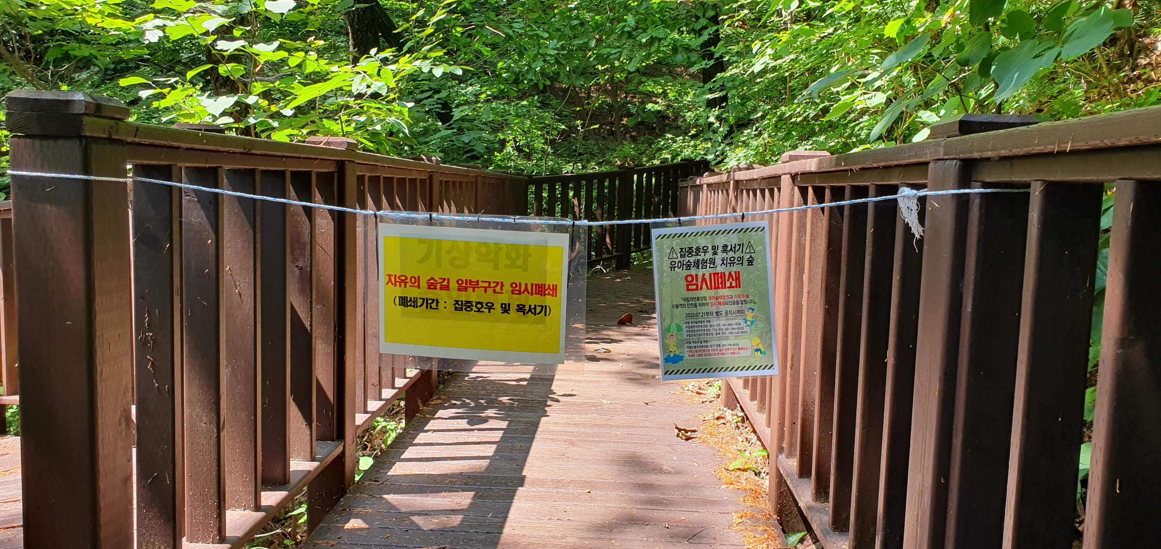 산음 자연휴양림의 나무데크길에서 치유의 숲으로 가는 구간 임시 폐쇄