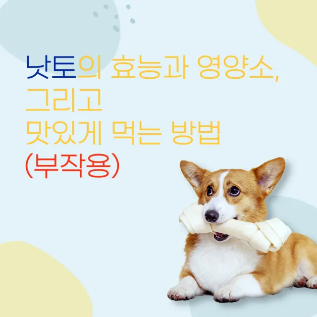  낫토의 효능과 영양소, 그리고 맛있게 먹는 방법(부작용)