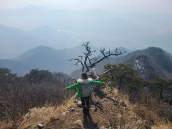 구병산 등산 최단 코스 완벽 가이드 충북 알프스 종주_17