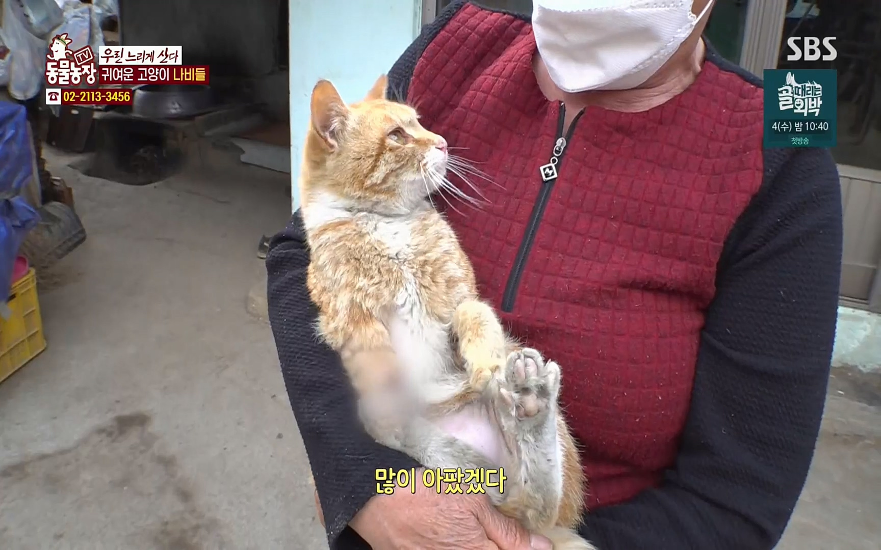 TV 동물농장.E1067.220501p.H264-F1RST.mp4_20220501_183730.230.jpg