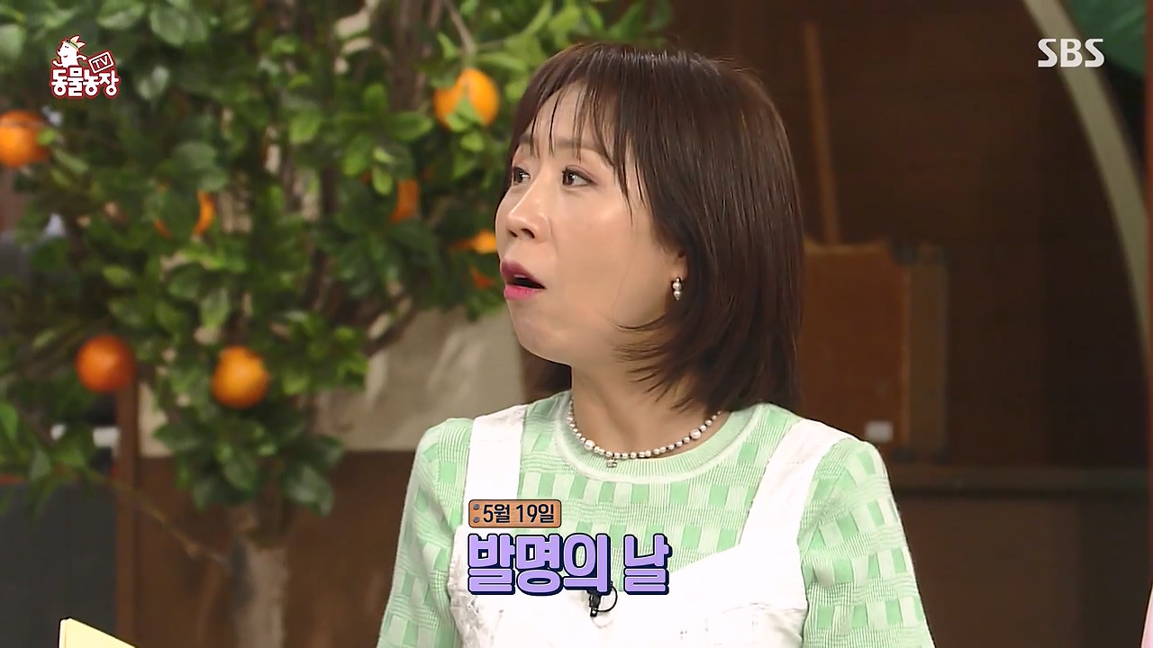 TV 동물농장.E1172.240520p-NEXT.mp4_20240519_162058.908.jpg