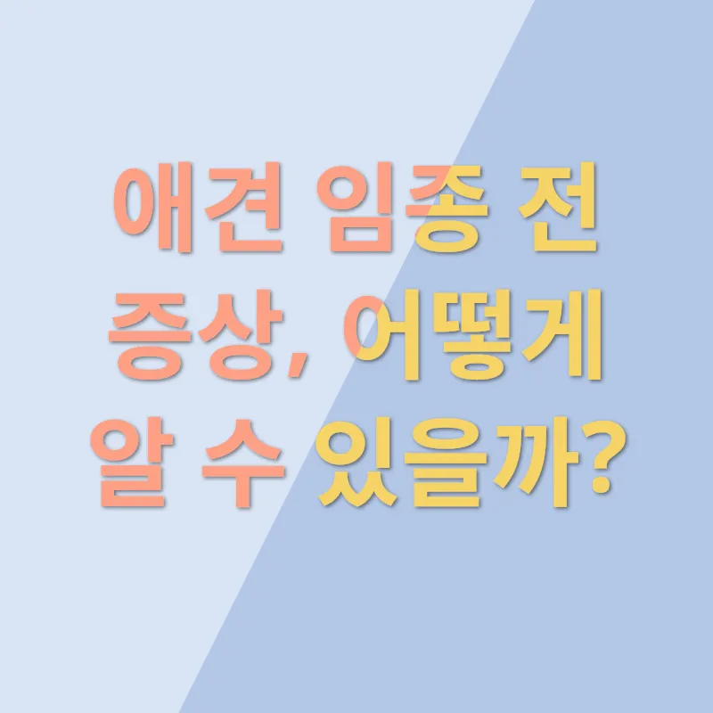 애견장례_3