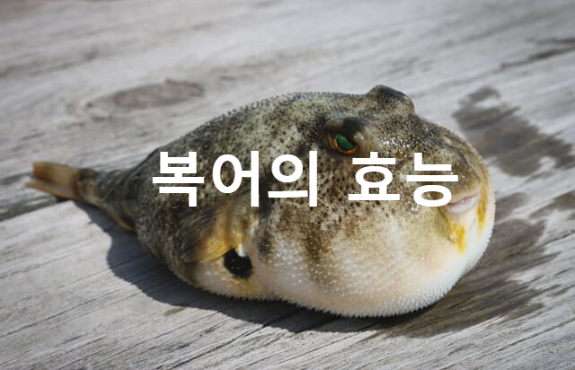 복어