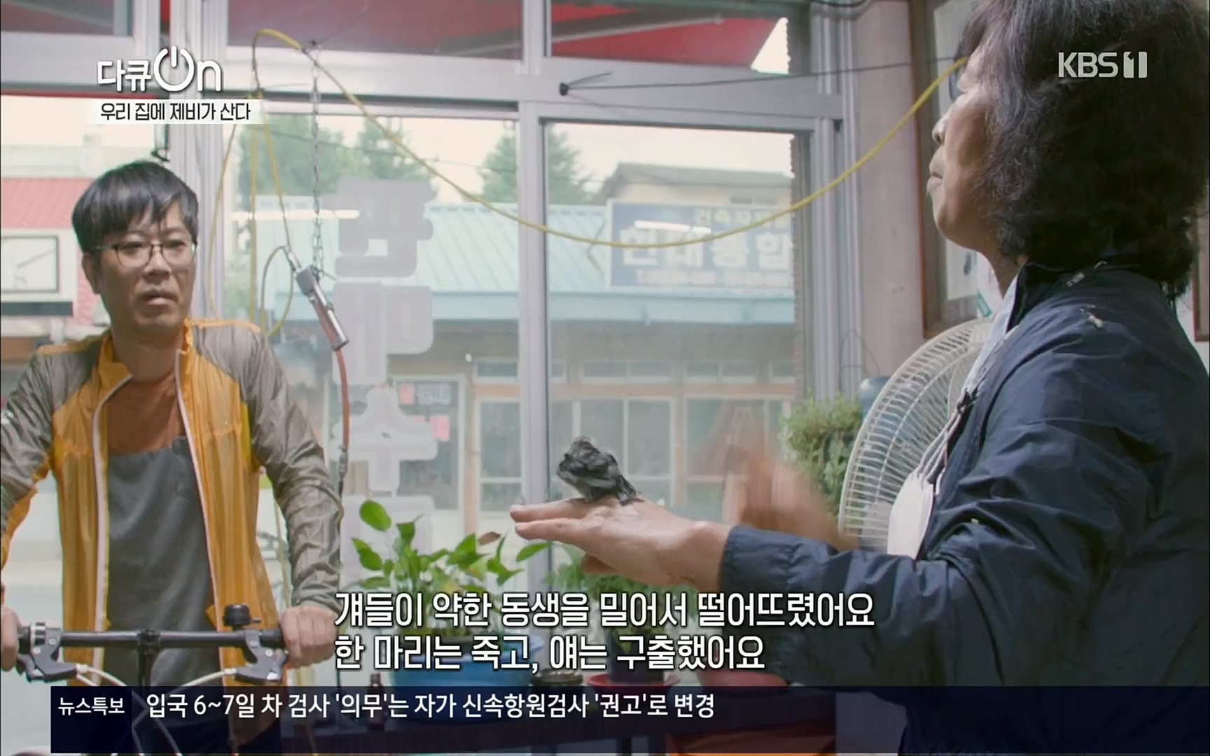 다큐 On.E143.220610p.H264-F1RST.mp4_20220613_202635.979.jpg