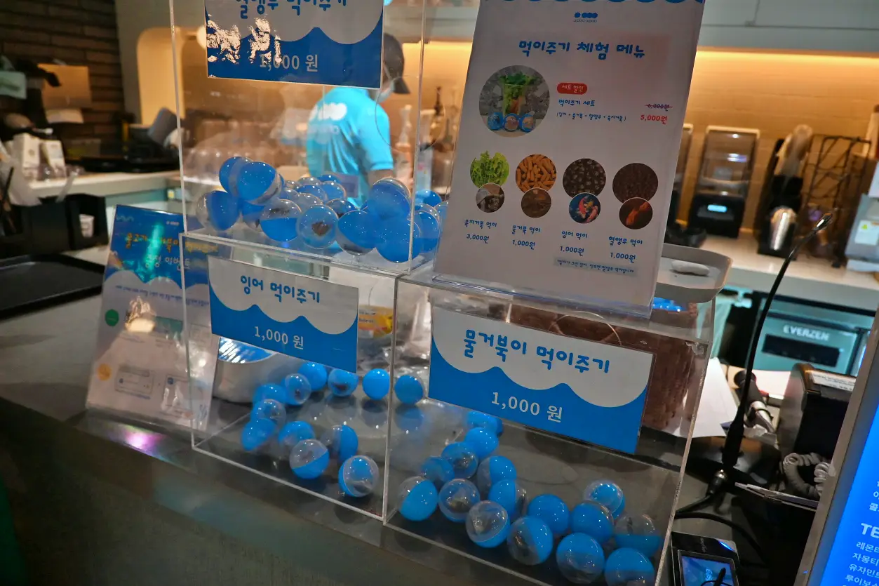 망포 판타지움 어푸어푸 삼형제 다녀온 후기 사진11