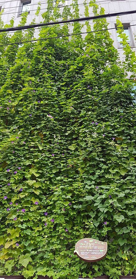 kbs1tv 다큐온 KBS1TV // 회천3동 생태그늘막 14