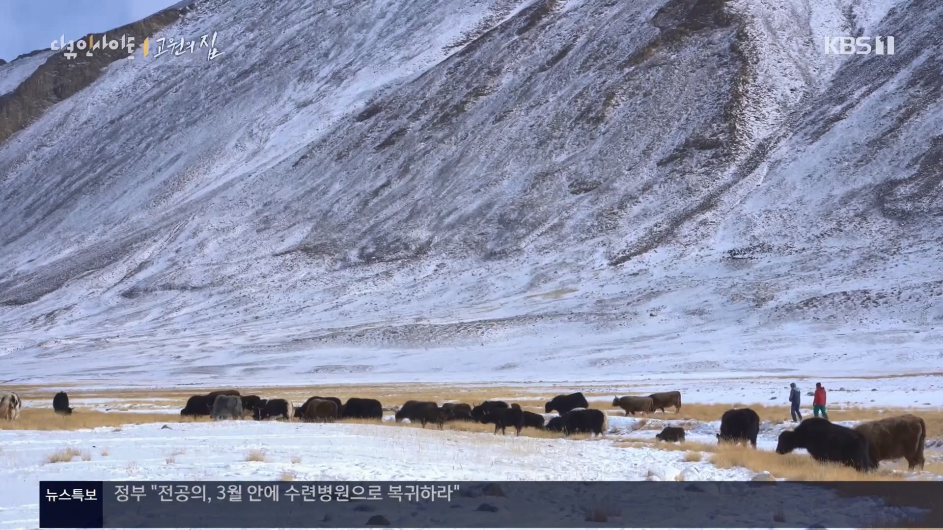 다큐 인사이트.E176.240328p.H264-F1RST.mp4_20240330_162700.895.jpg