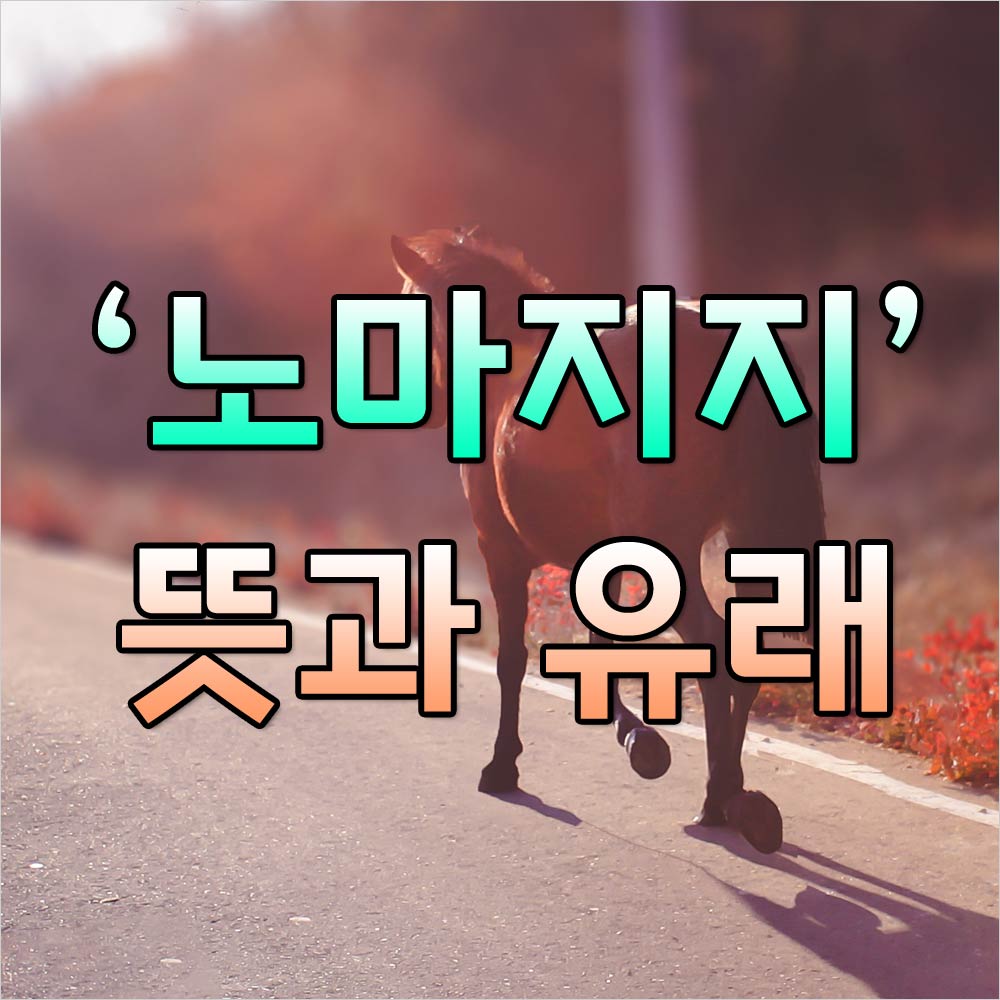 노마지지