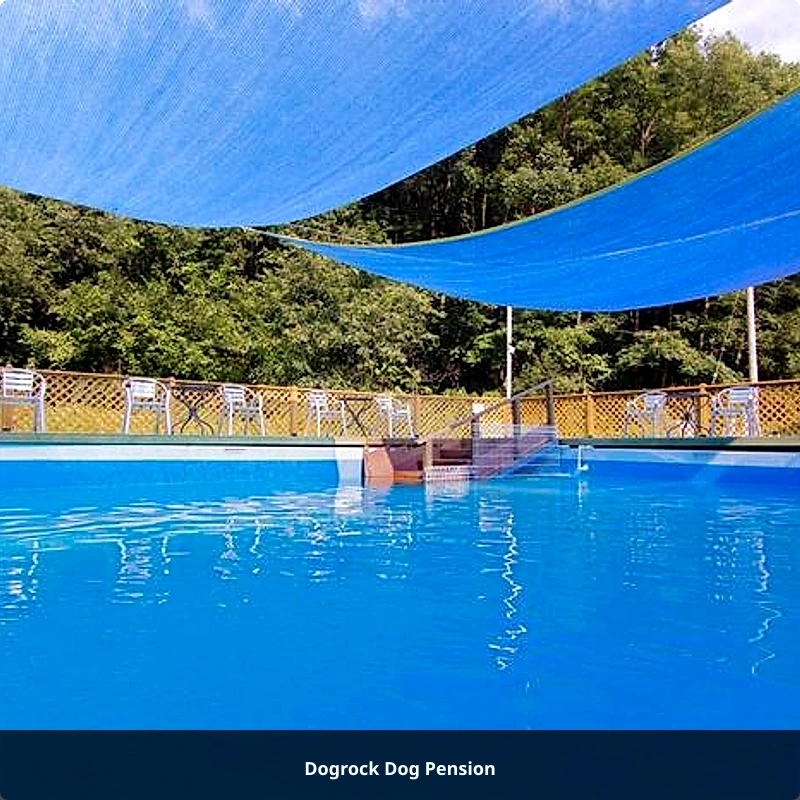 Dogrock Dog Pension_1