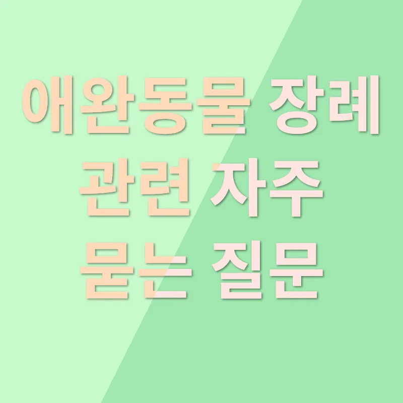 반려동물 장례와 소중한 이별_4