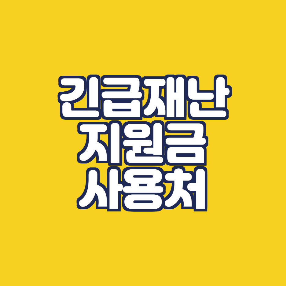  긴급재난지원금 사용처