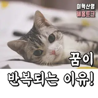 이럴 때 같은 꿈을 반복해서 꿉니다 이럴 때 같은 꿈을 반복해서 꿉니다