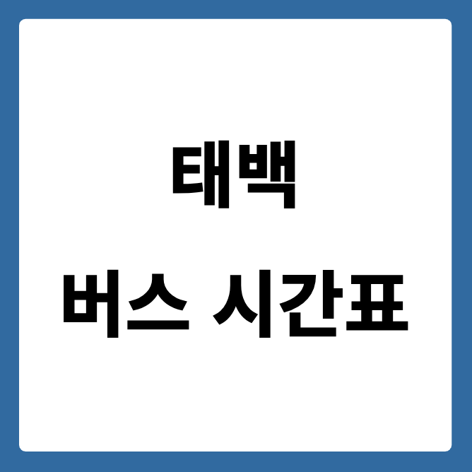 태백 버스 시간표
