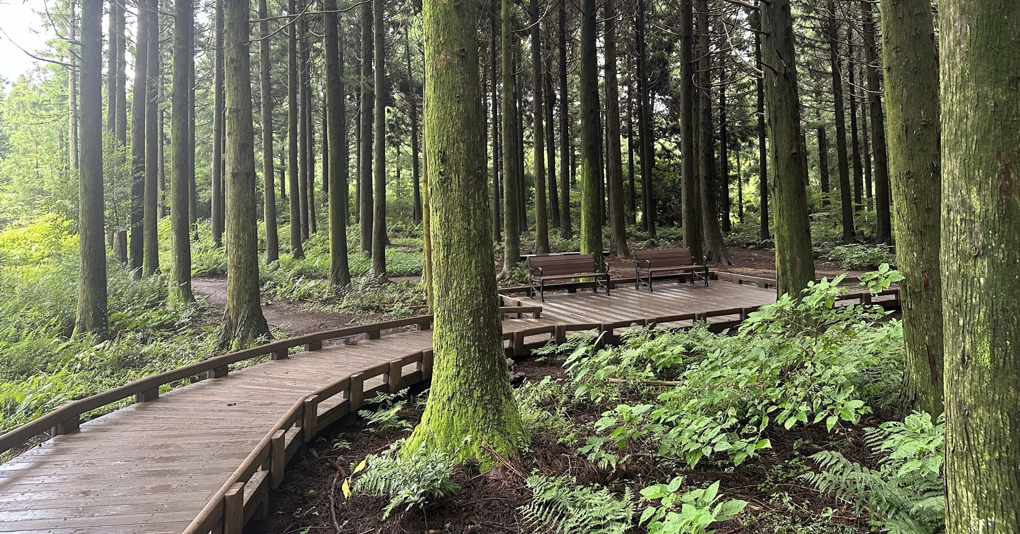 산책로