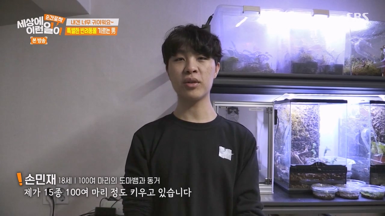 순간포착 세상에 이런일이.E1269.240317p-NEXT.mp4_20240317_162142.968.jpg