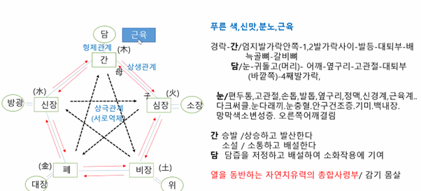  호전반응의  모든것 2탄