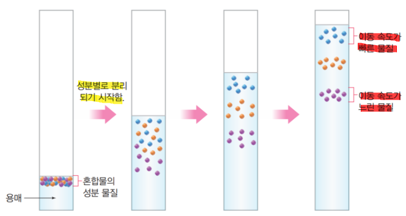 크로마토그래피2