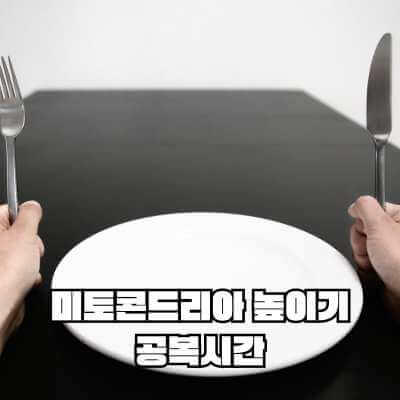 미토콘드리아 늘리기 방법 공복