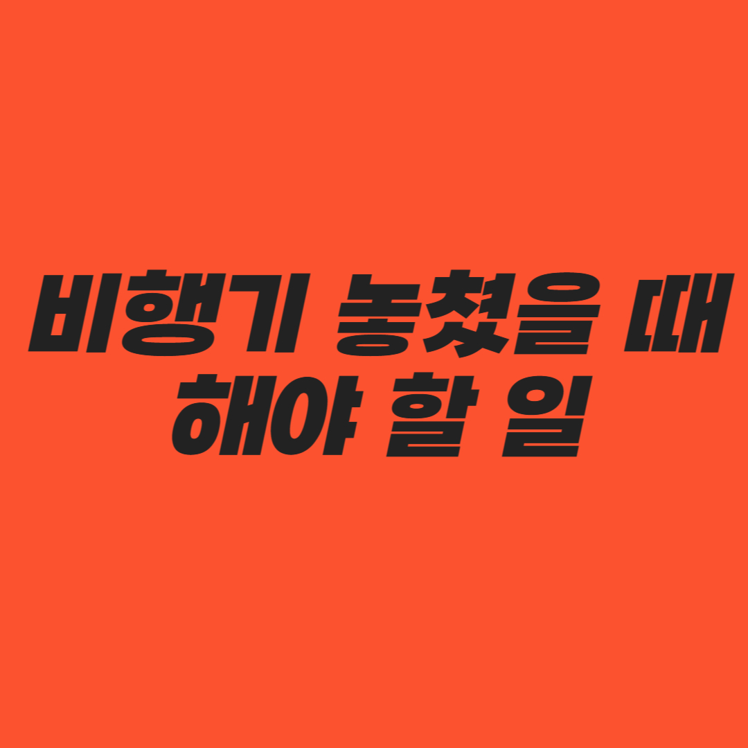비행기 놓쳤을 때 해야 할 일