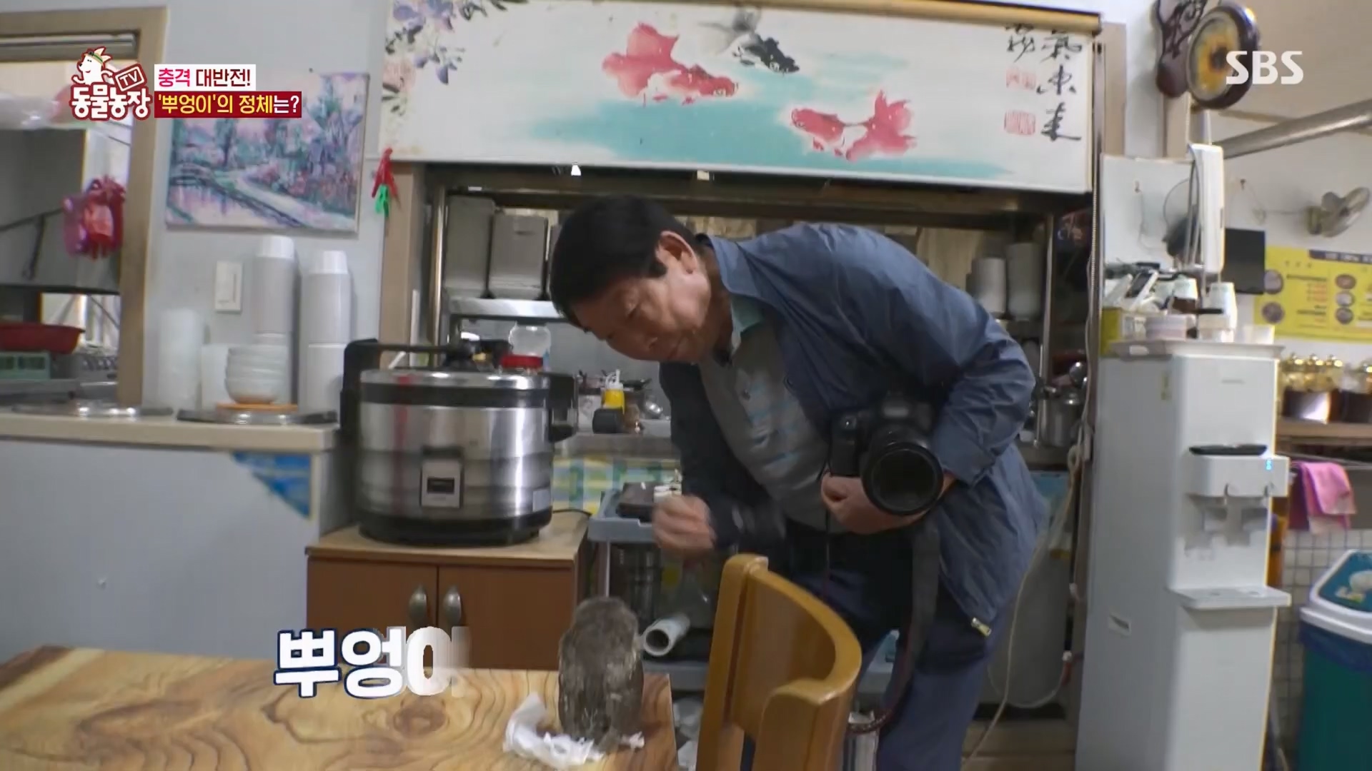 TV 동물농장.E1139.230924p.H264-F1RST.mp4_20230924_172339.026.jpg