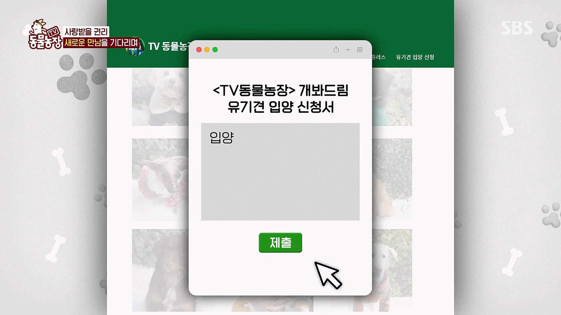 TV 동물농장.E1112.230319p.H264-F1RST.mp4_20230319_175216.572.jpg