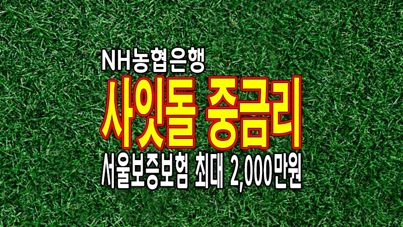NH농협은행 사잇돌 중금리 신용대출 이용조건