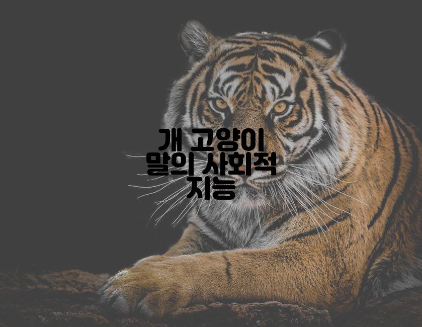 개 고양이 말의 사회적 지능