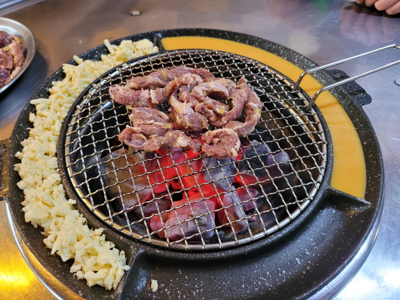 갈매기먹짱 이미지