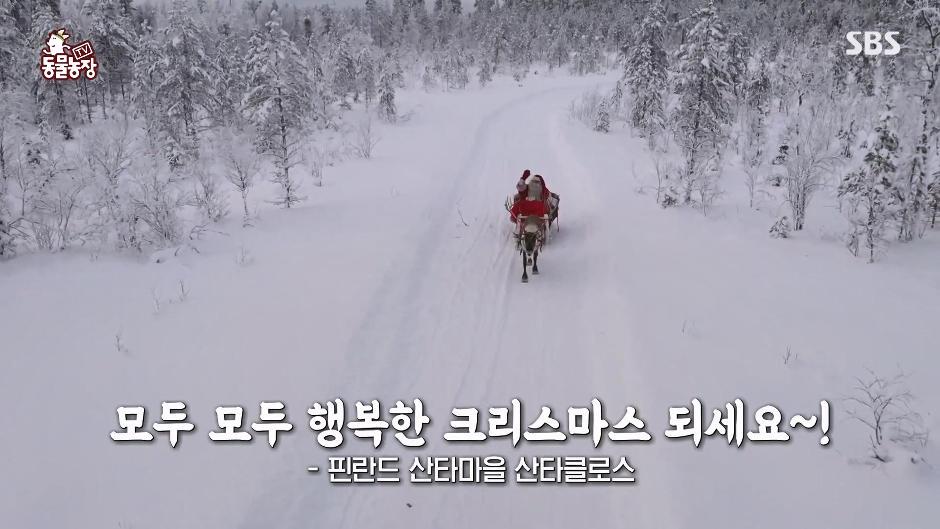 TV 동물농장.E1151.231224p-NEXT.mp4_20231224_151903.904.jpg