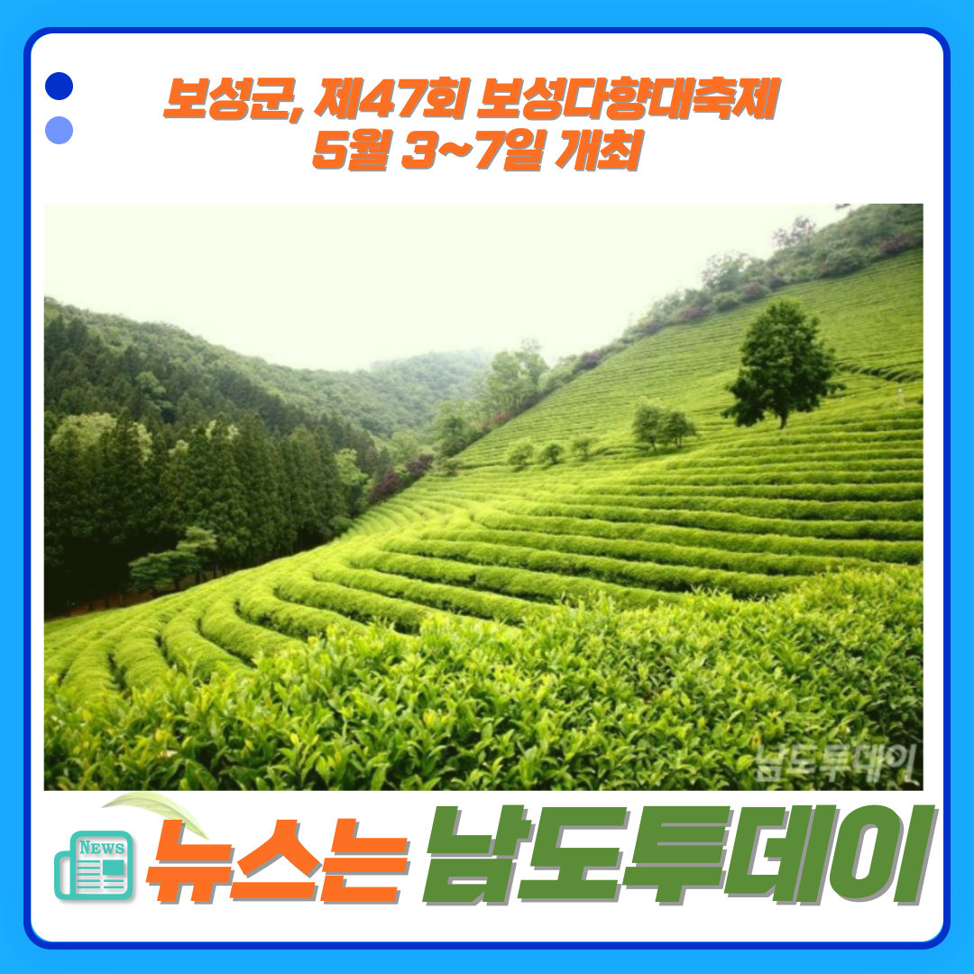  보성군 보성다향대축제, 천년 차의 유혹을 5월에 만납니다-남도투데이