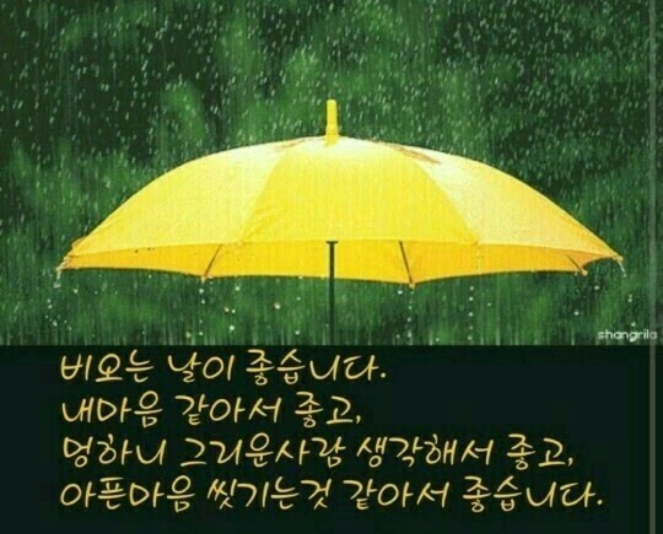  비 오는 날이면...!!!
