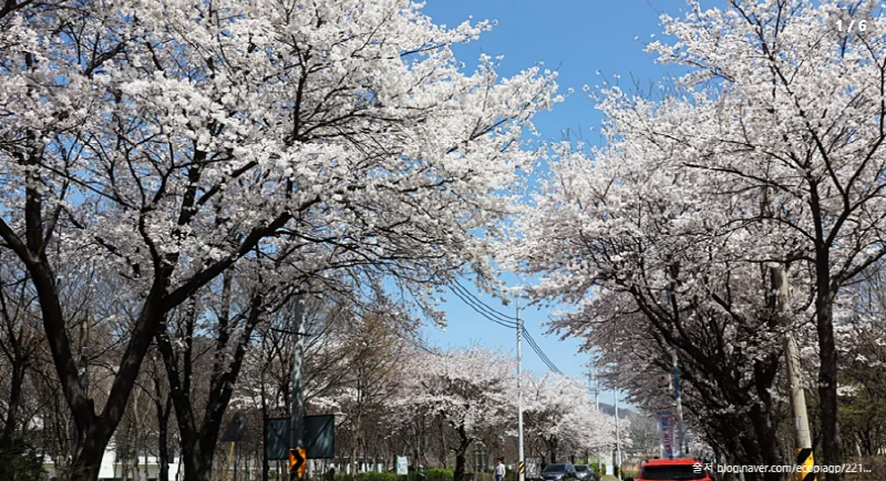 청평 삼회리