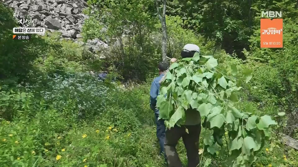 나는 자연인이다.E559.230621p.H264-F1RST.mp4_20230622_204017.533.jpg