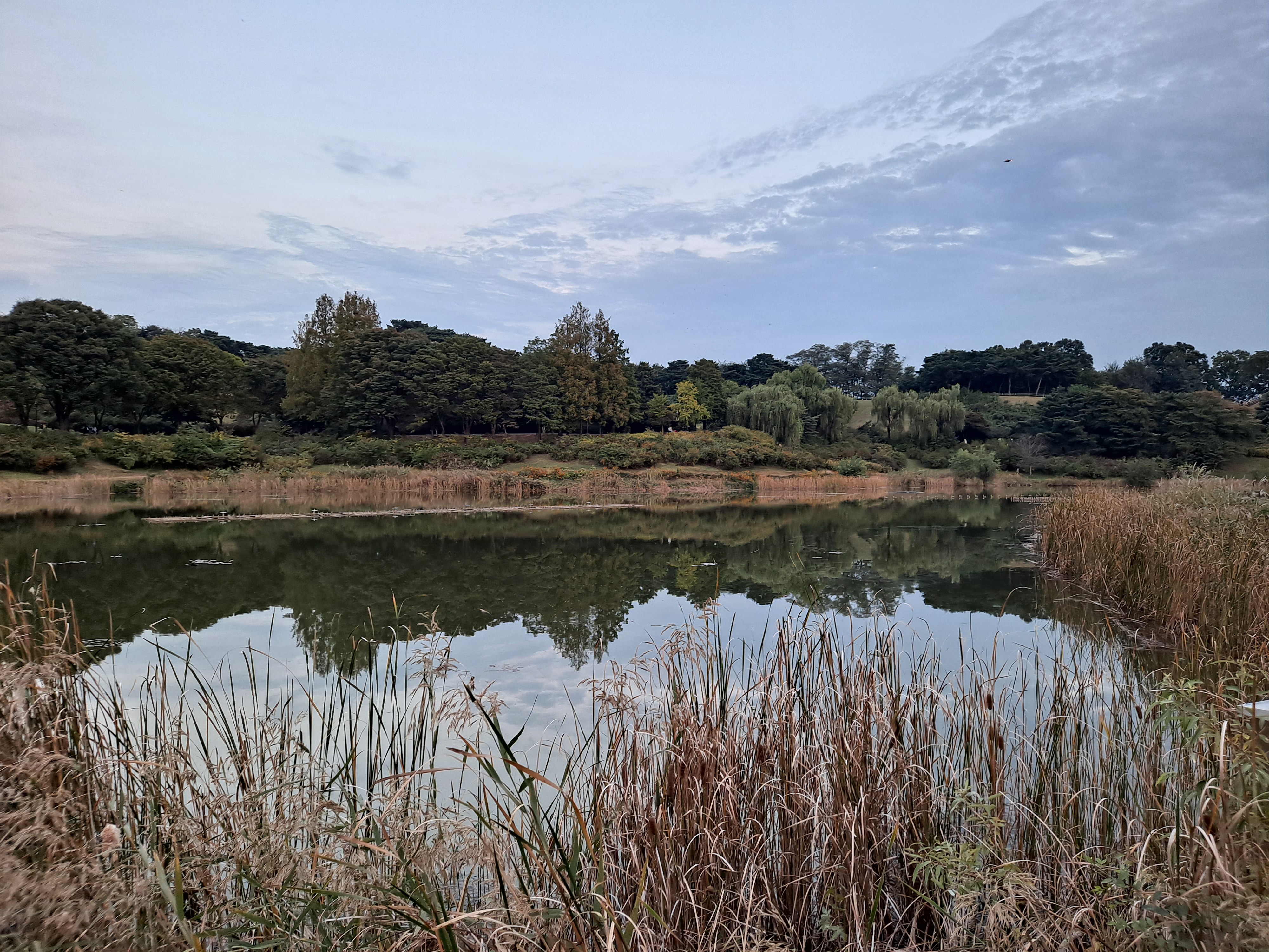  공원 걷기운동