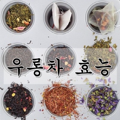  우롱차 효능
