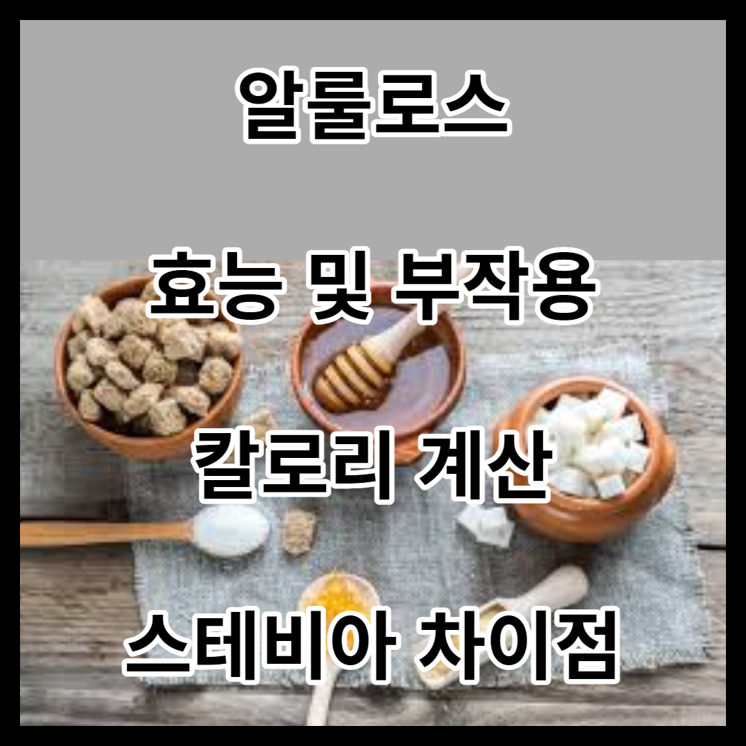 알룰로스 썸네일