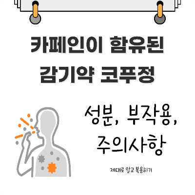 감기약 코푸정