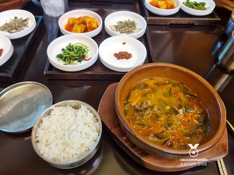 연예인 골프 순위 연예인들이 참여하는 23