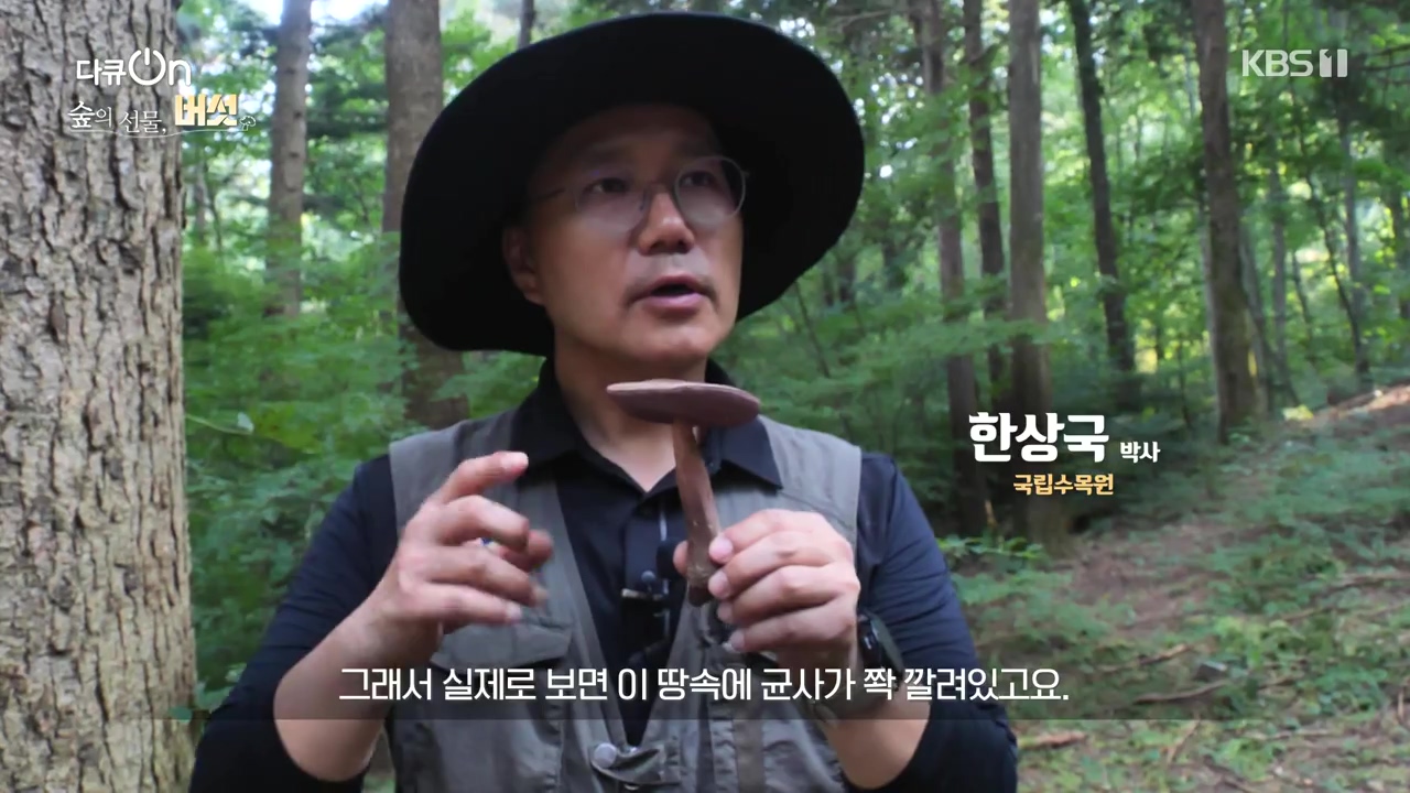 다큐 온.E227.231120p-NEXT.mp4_20231121_201925.574.jpg